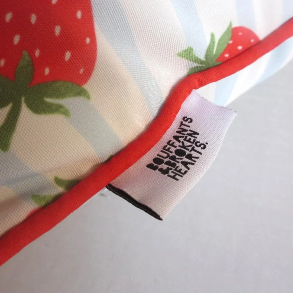 2 x Bouffants And Broken Hearts Pillows Strawberries Blue Stripes Indoor Outdoor